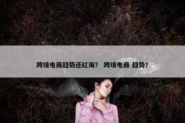 跨境电商趋势还红海？ 跨境电商 趋势？