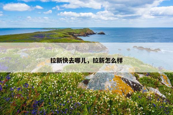 拉新快去哪儿,拉新怎么样 拉新快去哪儿,拉新怎么样