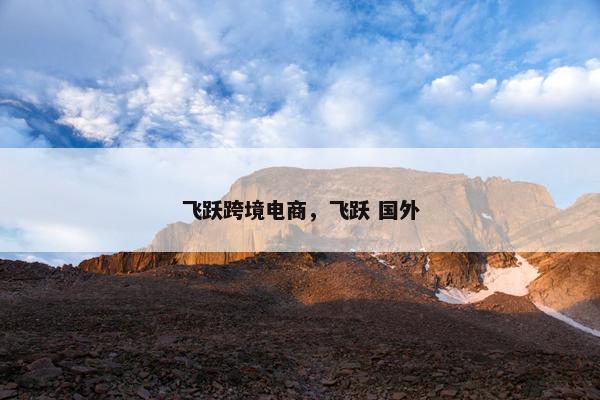 飞跃跨境电商，飞跃 国外