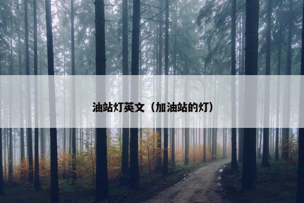 油站灯英文（加油站的灯）