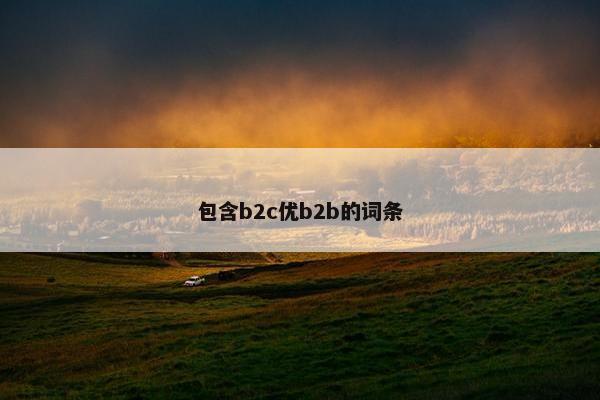 包含b2c优b2b的词条