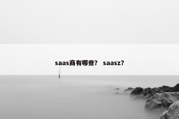 saas商有哪些？ saasz？