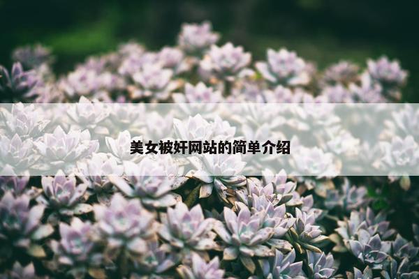 美女被奸网站的简单介绍