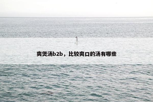 爽煲汤b2b，比较爽口的汤有哪些