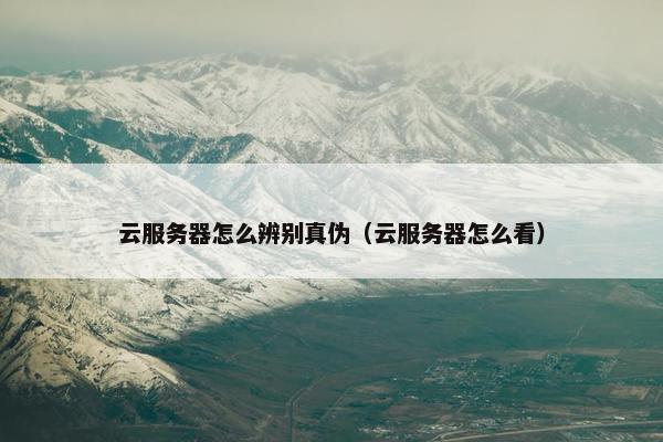 云服务器怎么辨别真伪（云服务器怎么看）