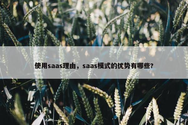 使用saas理由，saas模式的优势有哪些?