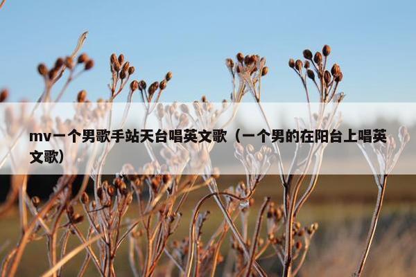 mv一个男歌手站天台唱英文歌（一个男的在阳台上唱英文歌）