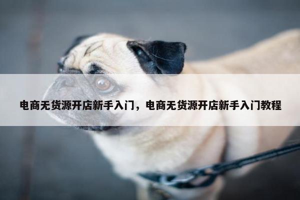 电商无货源开店新手入门，电商无货源开店新手入门教程