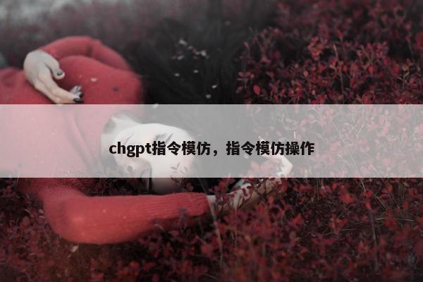 chgpt指令模仿，指令模仿操作