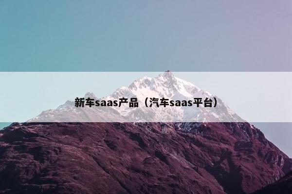 新车saas产品（汽车saas平台）