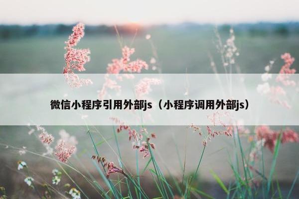 微信小程序引用外部js（小程序调用外部js）