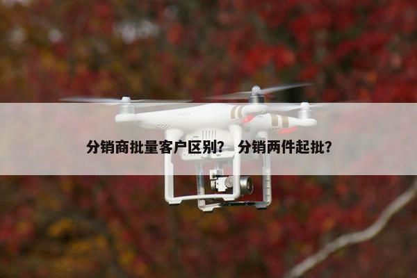 分销商批量客户区别？ 分销两件起批？