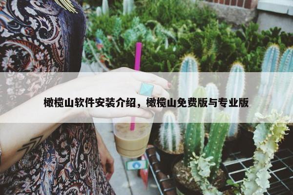 橄榄山软件安装介绍，橄榄山免费版与专业版