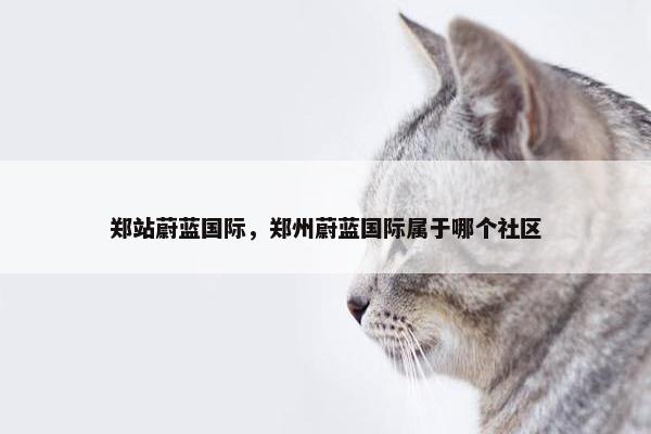 郑站蔚蓝国际，郑州蔚蓝国际属于哪个社区
