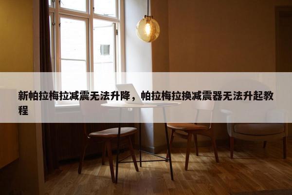 新帕拉梅拉减震无法升降，帕拉梅拉换减震器无法升起教程