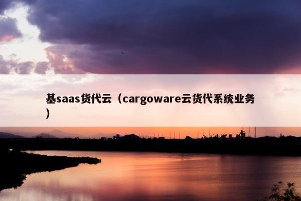 基saas货代云（cargoware云货代系统业务）