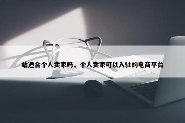 站适合个人卖家吗，个人卖家可以入驻的电商平台