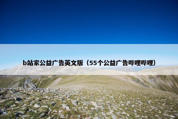 b站家公益广告英文版（55个公益广告哔哩哔哩）