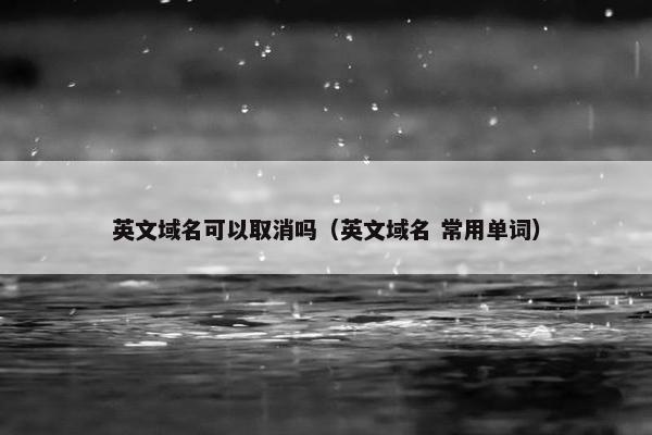 英文域名可以取消吗（英文域名 常用单词）