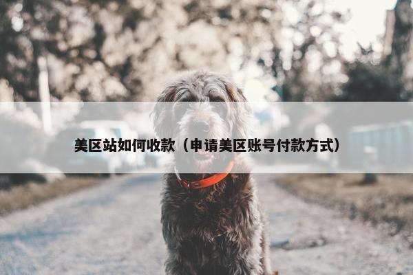 美区站如何收款（申请美区账号付款方式）