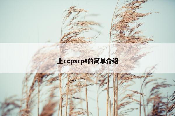 上ccpscpt的简单介绍