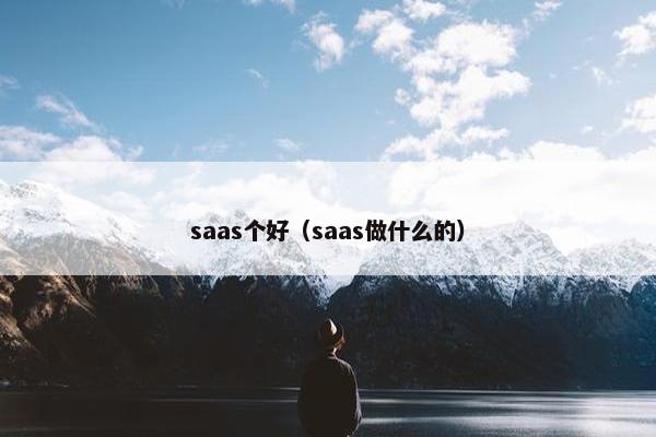 saas个好（saas做什么的）
