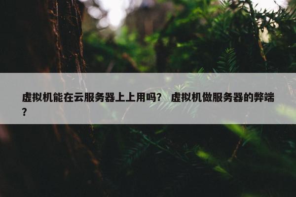 虚拟机能在云服务器上上用吗？ 虚拟机做服务器的弊端？
