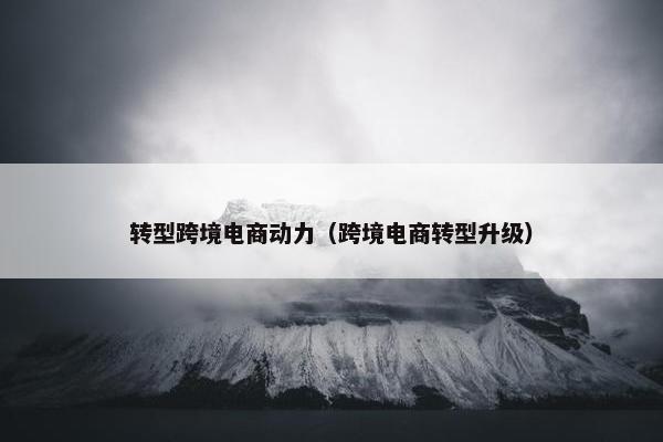 转型跨境电商动力（跨境电商转型升级）