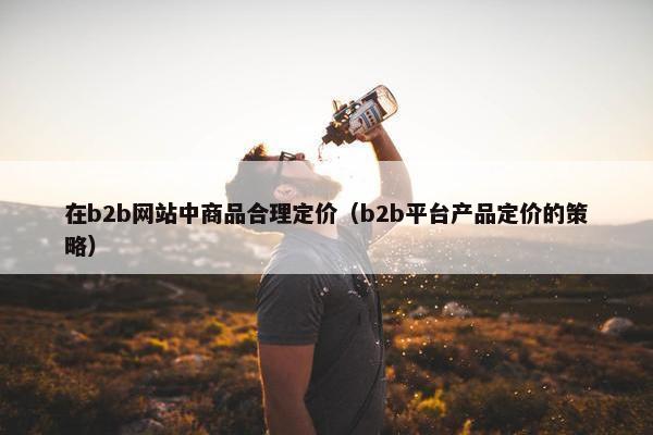 在b2b网站中商品合理定价（b2b平台产品定价的策略）