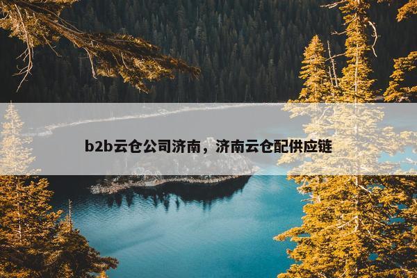 b2b云仓公司济南，济南云仓配供应链