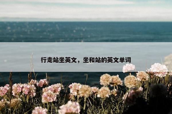 行走站坐英文，坐和站的英文单词