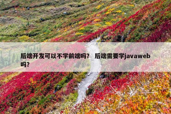 后端开发可以不学前端吗？ 后端需要学javaweb吗？