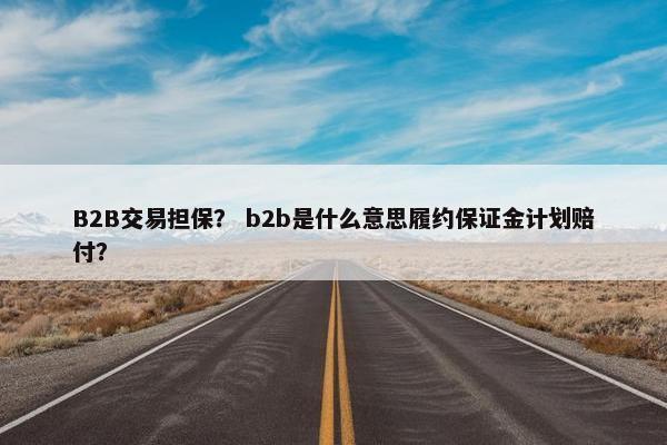 B2B交易担保？ b2b是什么意思履约保证金计划赔付？