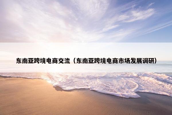 东南亚跨境电商交流（东南亚跨境电商市场发展调研）