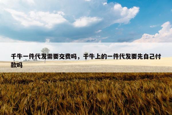 千牛一件代发需要交费吗，千牛上的一件代发要先自己付款吗