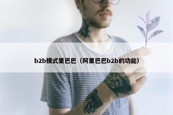 b2b模式里巴巴（阿里巴巴b2b的功能）