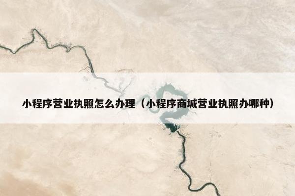 小程序营业执照怎么办理（小程序商城营业执照办哪种）