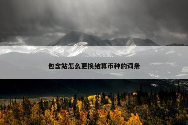 包含站怎么更换结算币种的词条
