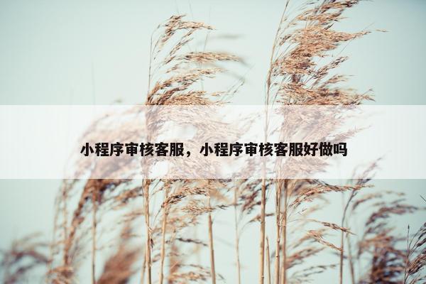 小程序审核客服，小程序审核客服好做吗