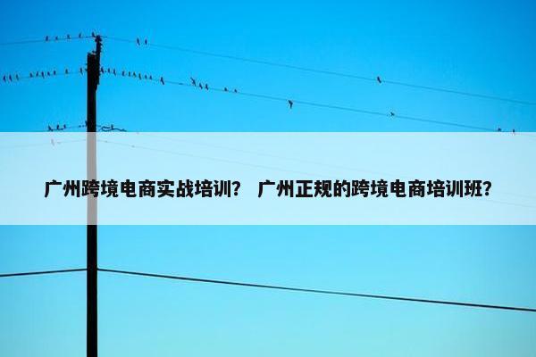 广州跨境电商实战培训？ 广州正规的跨境电商培训班？