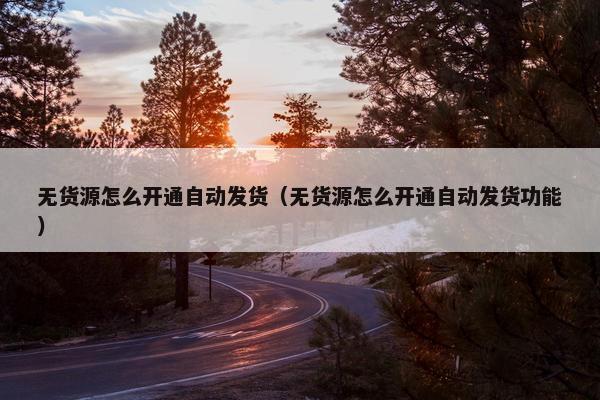 无货源怎么开通自动发货（无货源怎么开通自动发货功能）