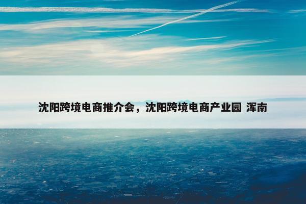 沈阳跨境电商推介会，沈阳跨境电商产业园 浑南