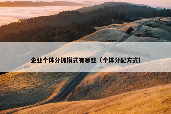 企业个体分佣模式有哪些（个体分配方式）