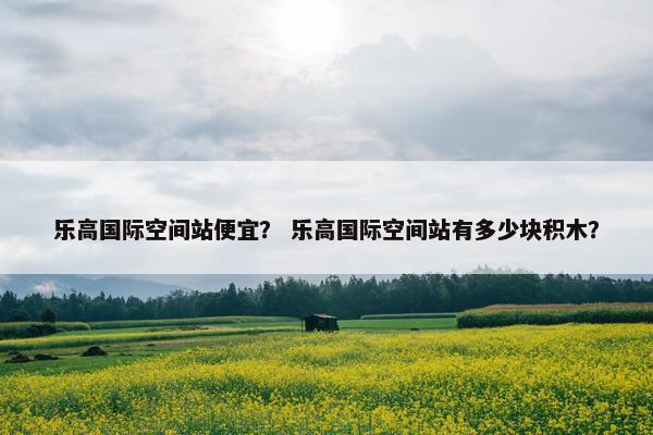 乐高国际空间站便宜？ 乐高国际空间站有多少块积木？