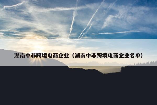 湖南中非跨境电商企业（湖南中非跨境电商企业名单）