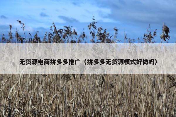 无货源电商拼多多推广（拼多多无货源模式好做吗）