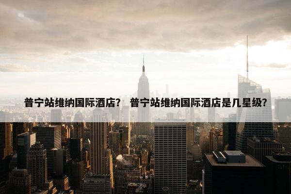 普宁站维纳国际酒店? 普宁站维纳国际酒店是几星级?