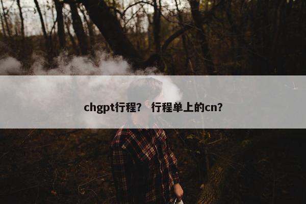 chgpt行程？ 行程单上的cn？