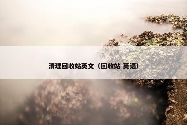 清理回收站英文（回收站 英语）