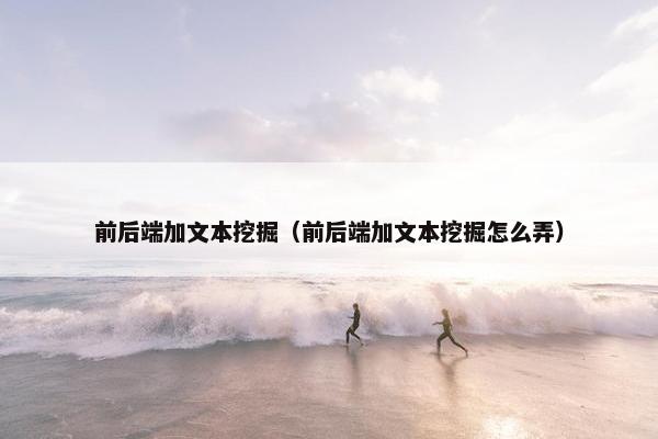 前后端加文本挖掘（前后端加文本挖掘怎么弄）
